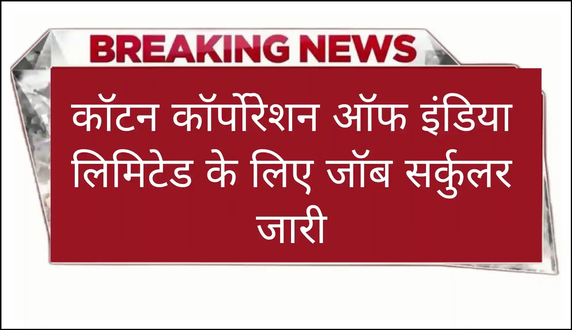 Cotton India Vacancy