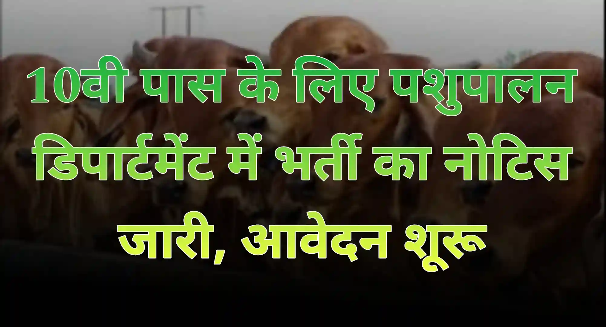 Pashupalan Department 